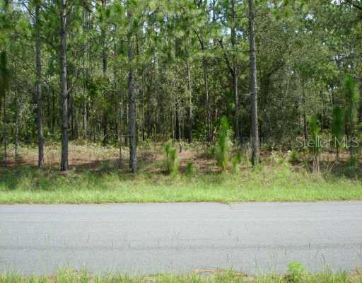 1917 E Osborne Ave., Tampa, FL 33610