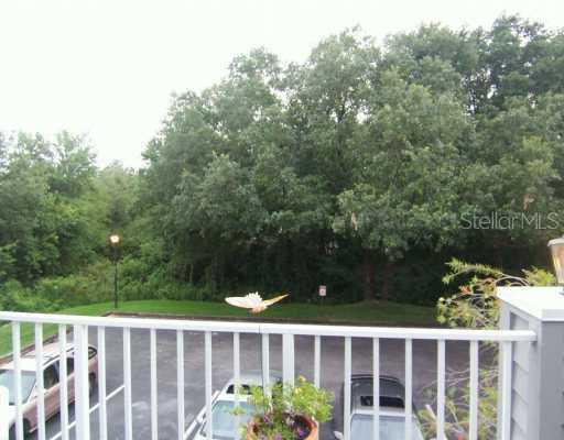 11831 Skylake Pl., Temple Terrace, FL 33617