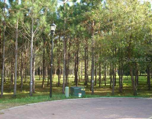 17612 Nature Wood Dr., Lutz, FL 33549