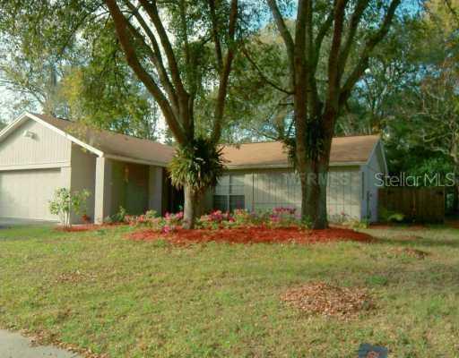 2414 Blind Pond Ave., Lutz, FL 33549