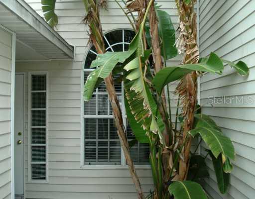 21425 Keating Way, Lutz, FL 33549