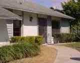 2020 Sheffield Ct., Oldsmar, FL 34677