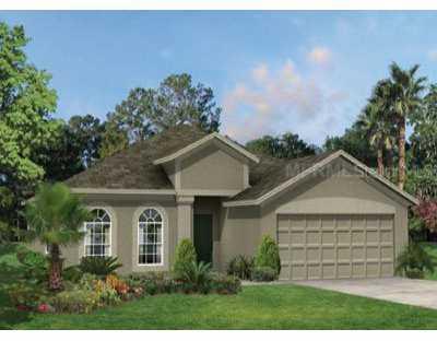 11435 Dutch Iris Dr., Riverview, FL 33569