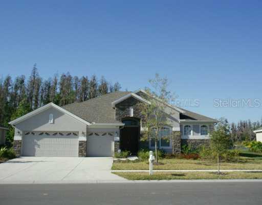 1419 Salmonberry St., Wesley Chapel, FL 33543