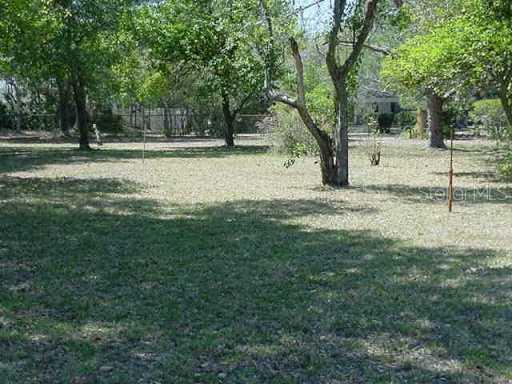 12401 N Rome Ave., Tampa, FL 33612