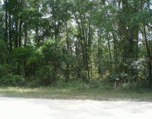 Dan Brown Hill Rd., Brooksville, FL 34602