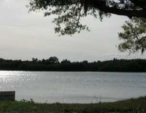 1049 Eden Isle Dr., St Petersburg, FL 33704