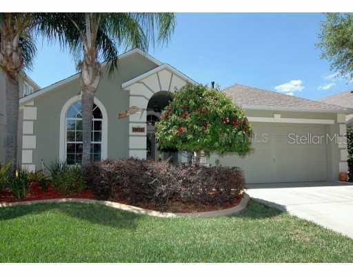 19034 Chemille Dr., Lutz, FL 33558