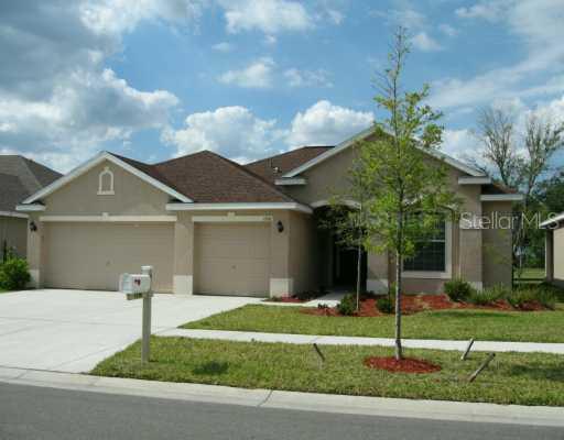 1316 Emerald Hill Way, Valrico, FL 33594