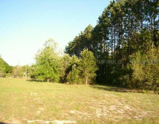 19629 Woodland Manor Pl., Lutz, FL 33549