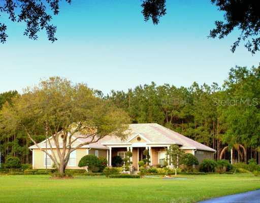 16107 Copeland Farms Rd., Odessa, FL 33556