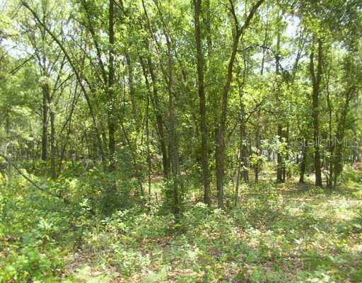 8525 Franklin Rd., Plant City, FL 33565