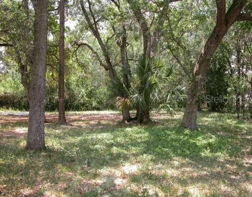 14709 Basswood Ave., Tampa, FL 33625