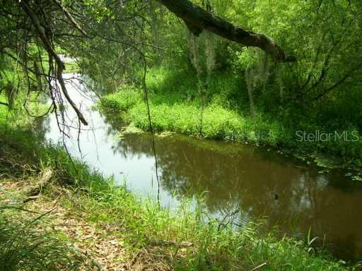 Dirt Road Off Of Cr 653, Winter Haven, FL 33859