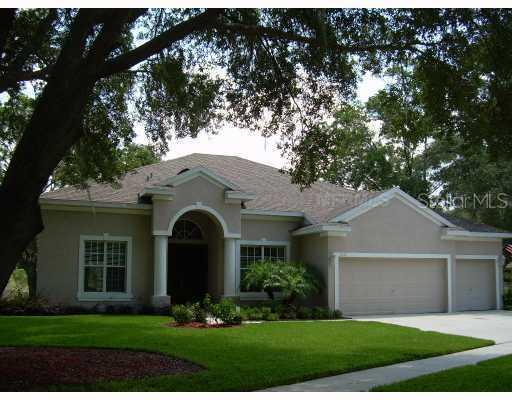317 Yellow Birch Loop, Brandon, FL 33511