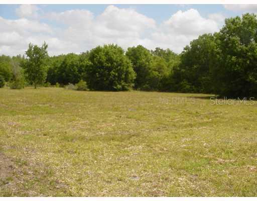 County Line Rd., Odessa, FL 33556