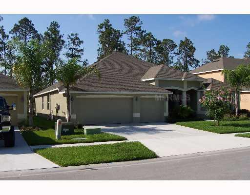 3442 Loggerhead Way, Wesley Chapel, FL 33543