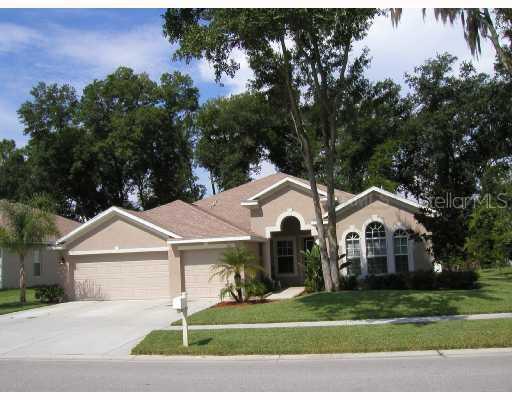 1514 Brilliant Cut Way, Valrico, FL 33594