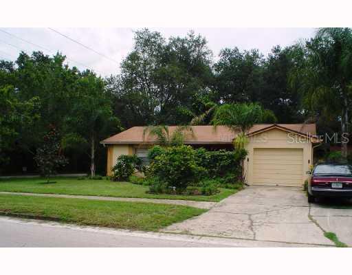 4233 Truman Dr., Seffner, FL 33584