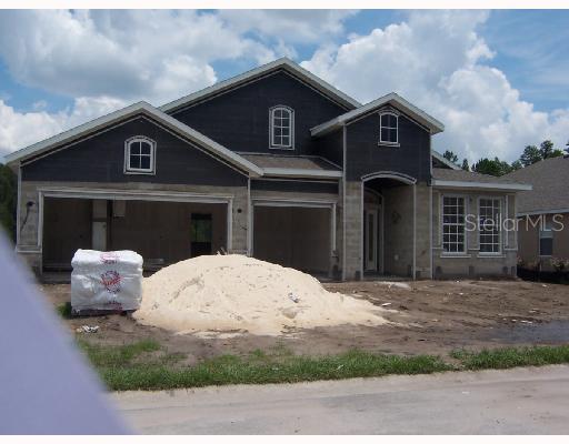 31716 Holcomb Pass, Wesley Chapel, FL 33543