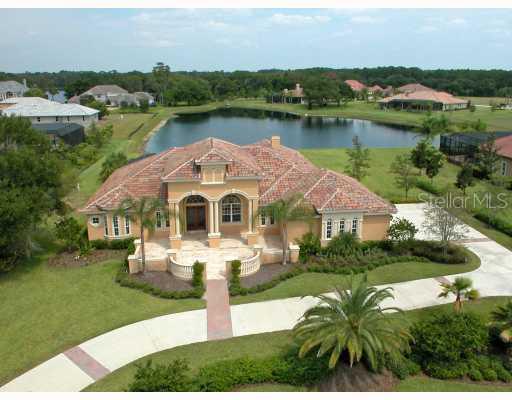 9923 Menander Wood Ct., Odessa, FL 33556