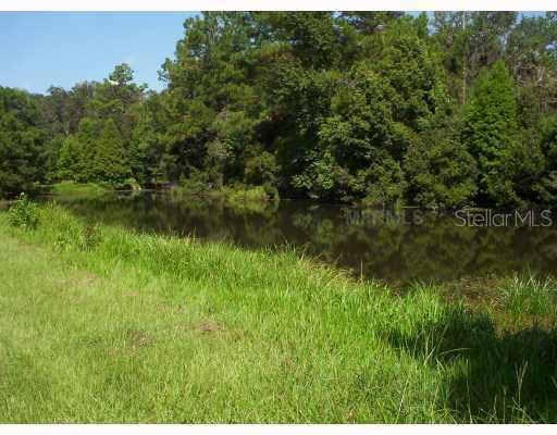 Neff Lake Rd., Brooksville, FL 34602