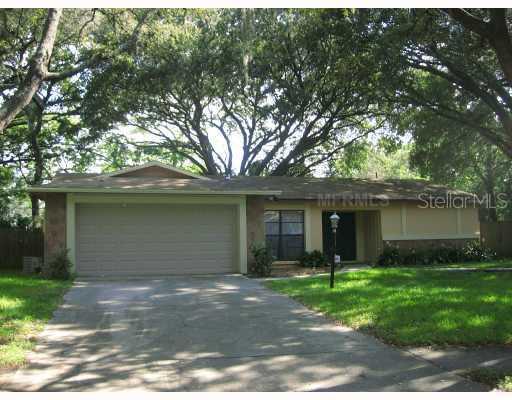 14902 Northwood Village Ln., Tampa, FL 33613