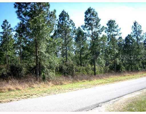 Clay Hill Rd., Dade City, FL 33523
