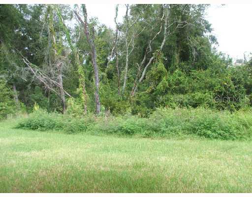1186 Emerald Hill Way, Valrico, FL 33594