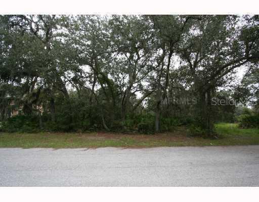 Rhea Dr., Odessa, FL 33556