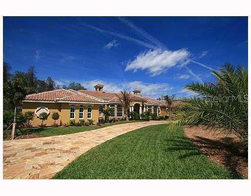 17024 Communidad De Avila St., Lutz, FL 33549