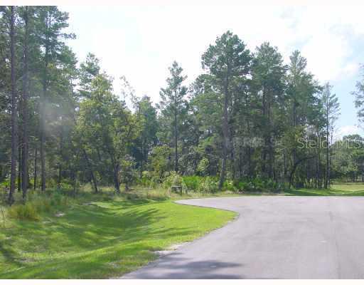 13543 Gopher Pond Ct., Hudson, FL 34669