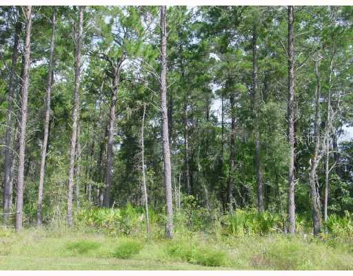 13844 Sand Oak Ct., Hudson, FL 34669