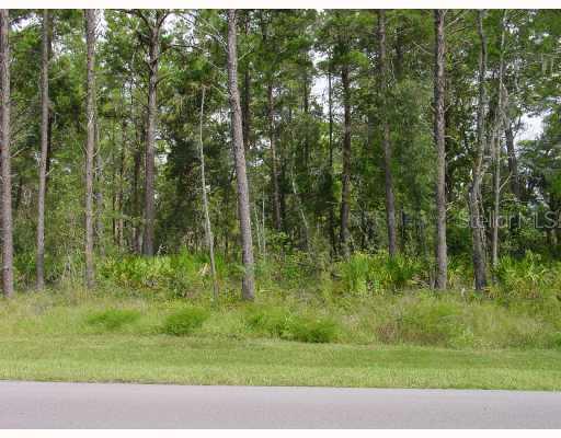 13537 Gopher Pond Ct., Hudson, FL 34669