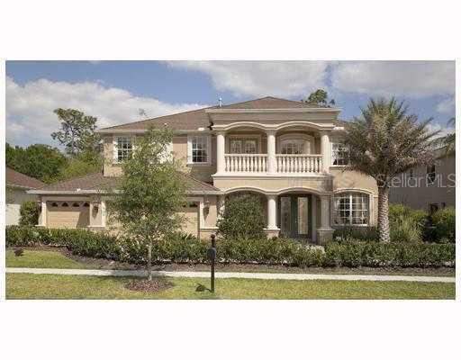27335 Roseling Ct., Wesley Chapel, FL 33543