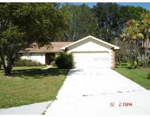 3371 Brodie Way, Palm Harbor, FL 34684