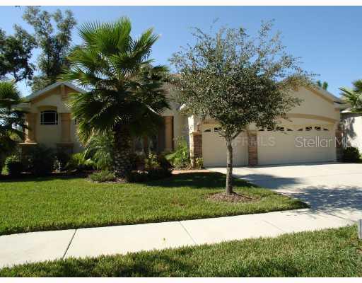 1604 Brilliant Cut Way, Valrico, FL 33594