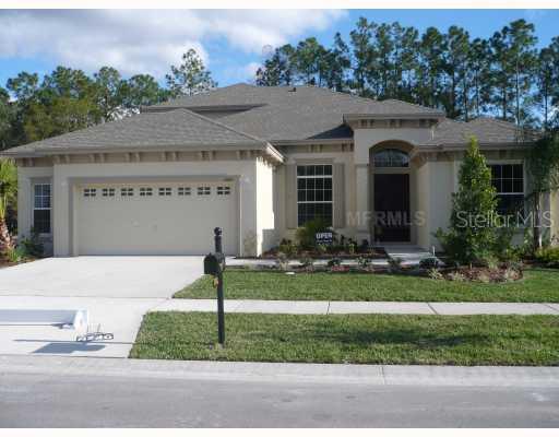 3500 Grassglen Pl., Wesley Chapel, FL 33544