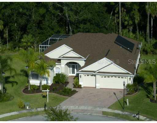 17388 Emerald Chase Dr., Tampa, FL 33647