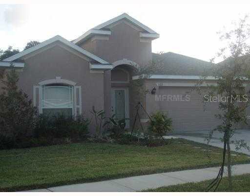 1173 Emerald Hill Way, Valrico, FL 33594