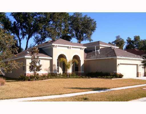2408 Fountain Grass Dr., Valrico, FL 33594