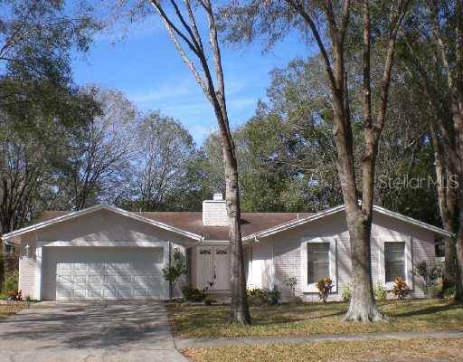 17732 Morninghigh Dr., Lutz, FL 33549