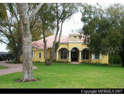 9901 Menander Wood Ct., Odessa, FL 33556