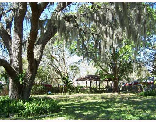 2312 Hibiscus Ave., Seffner, FL 33584