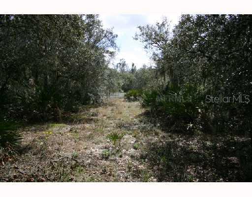 Mcmullen Rd., Riverview, FL 33569
