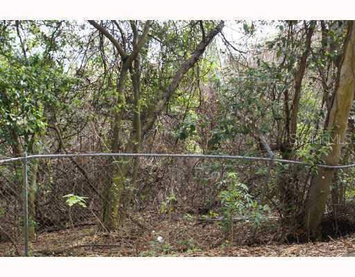 Memory Ln., Lutz, FL 33549