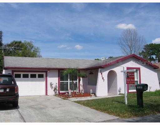 10107 Pine Trails Ct., Tampa, FL 33615