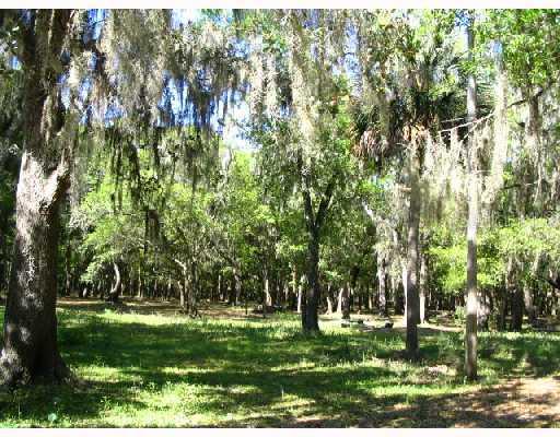 Address Not Available Rd., Valrico, FL 33594