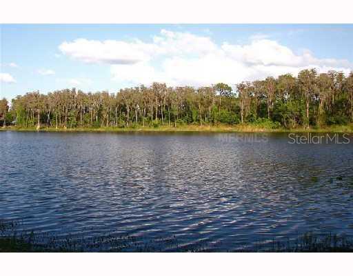 17911 Pepper Tree Ln., Lutz, FL 33548
