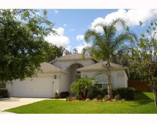 31105 Wolfert Pl., Wesley Chapel, FL 33543